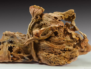 陳禮忠《殘荷聽雨》 老嶺石2012年作 60×25×40cm
